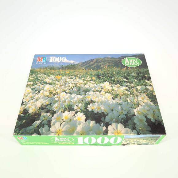 MB Milton Bradley 1000 Piece Anza-Borrego Desert State Park, CA Jigsaw Puzzle GC - Picture 3 of 12